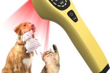 Cold Laser Therapy For Dogs Cats