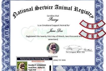 Emotional Support Animal Registration In Colorado