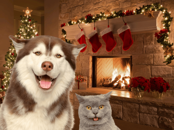 Pet-Friendly Holiday Christmas Decor Tips