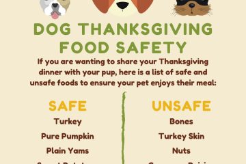 Safe Unsafe Thanksgiving Food For Dogs Cats