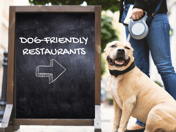 The Best Dog-Friendly Restaurants Near Highlands Ranch